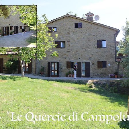 Le Querce Di Campolungo Bed and Breakfast San Giustino Eksteriør billede