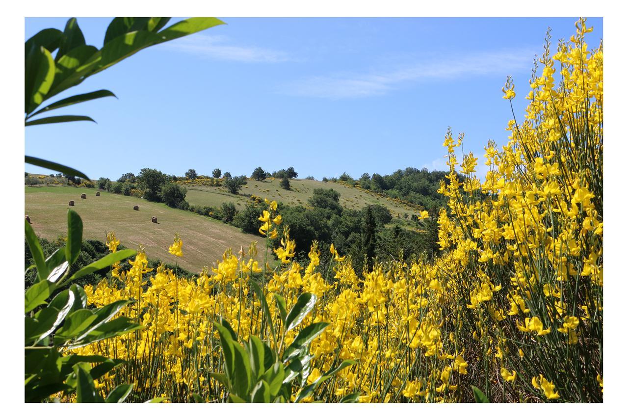 Le Querce Di Campolungo Bed and Breakfast San Giustino Eksteriør billede